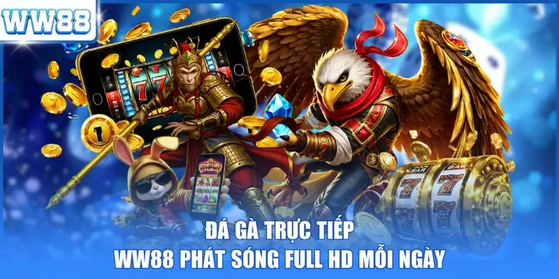 Đá gà trực tiếp WW88 phát sóng Full HD mỗi ngày